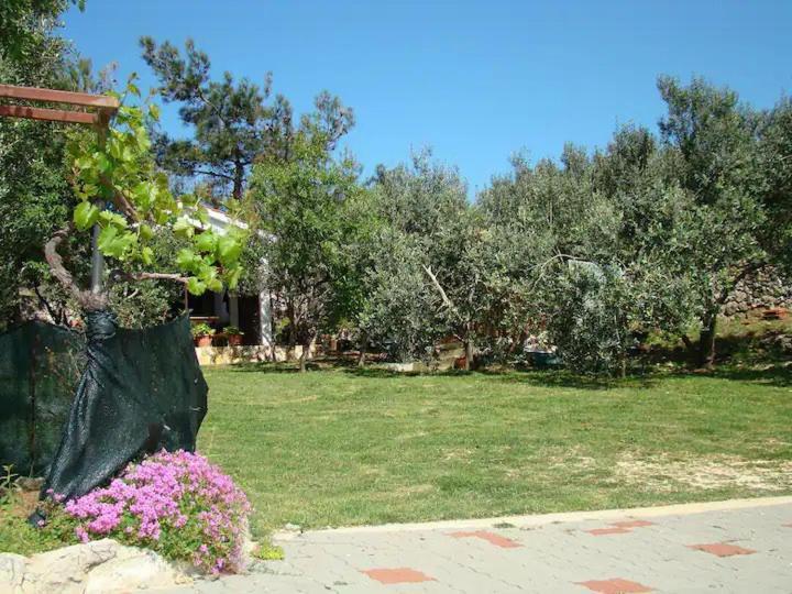 Apartments Davorka Šimuni المظهر الخارجي الصورة